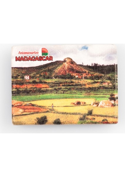Madagaskar Temalı Taş Magnet