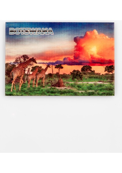 Botsvana Temalı Ahşap Kartpostal Magnet
