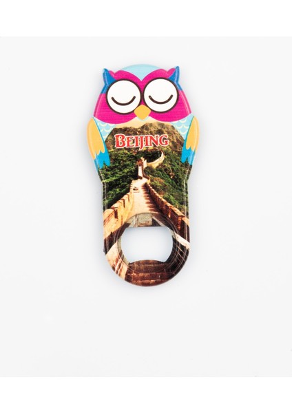 Çin Pekin Temalı Baykuş Magnet Kapak Açacak