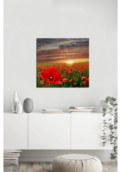 Gelincik Tarlası Fotoğraf Kanvas Tablo