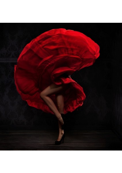 İspanyol Dansçı Kadın Fotoğraf Kanvas Tablo