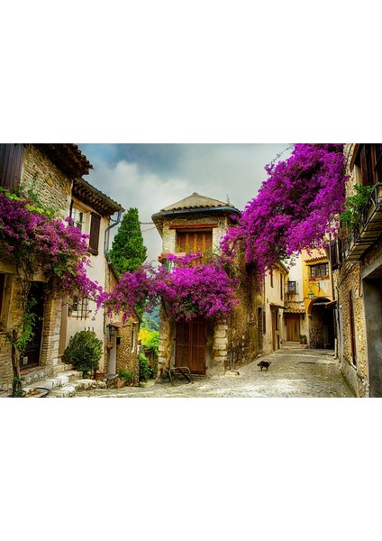 Erguvan Çiçekli Taş Evler Evler Fotoğraf Kanvas Tablo fiyatları