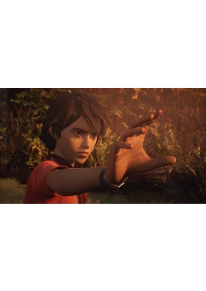 Life Is Strange 2 PS4 Oyun fiyatları