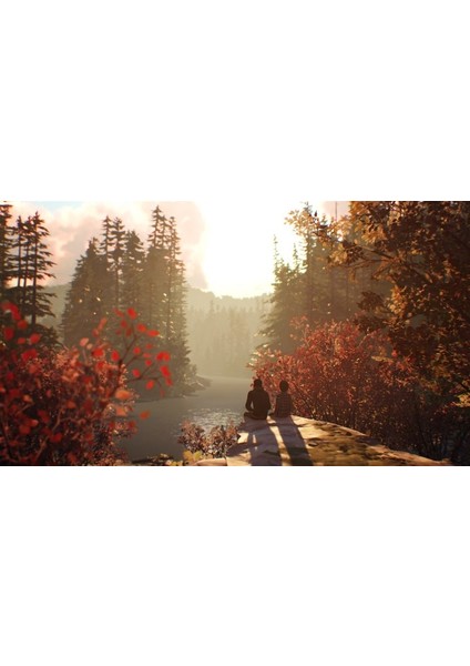 Life Is Strange 2 PS4 Oyun modelleri