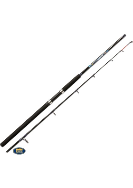 Xr Boat 2.10MT 100-200GR Tekne Kamışı