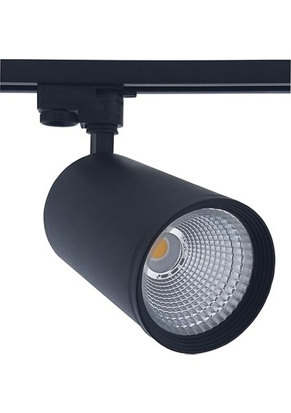 Led Pazarı 30 Watt Ray Spot