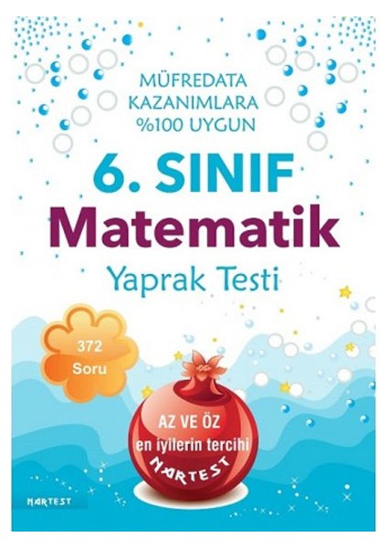 6. Sınıf Defter Tadında Tane Tane Matematik