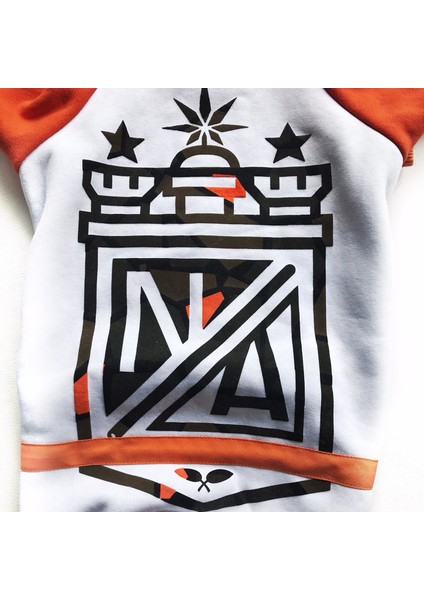 Na Orange Athletique Hoodie Köpek Kıyafet Elbise modelleri