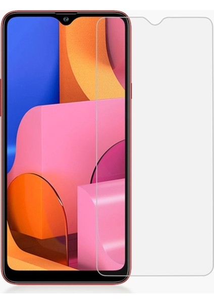 Al-31582 Samsung Galaxy A20S Tempered Kırılmaz Cam