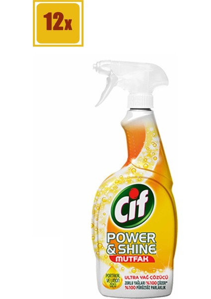 Power Shine Mutfak Sprey 750 ml 12'li Set