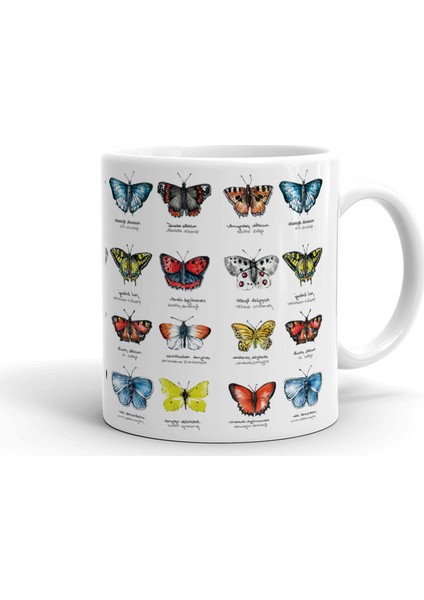 Kelebek Desenli Seramik Kupa Bardak