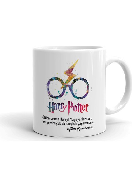 Harry Potter Seramik Kupa Bardak