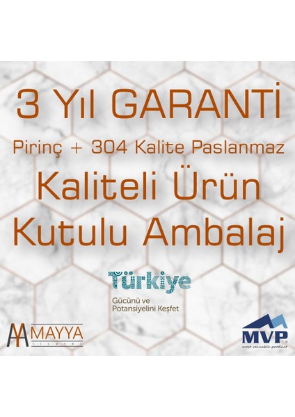 Gusto Mare Cam Diş Fırçalık