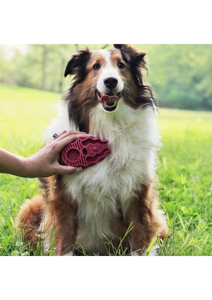 Köpek Oyuncak, ZoomGroom Tarak, Mavi