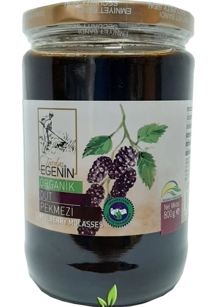 Tardaş Egenin Organik Dut Pekmezi 800 gr