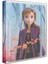 Frozen II Ciltli Defter 3