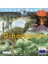 Dinosaurer (Lesemaus 95) 1