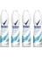 Shower Fresh 4'lü Deodorant 1