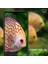 Buff Huawei P20 Lite Glass Ekran Koruyucu 4
