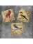 Decor Doğaltaş Magnet - 3'lü Set 1