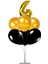 7'li Balon Stand Demeti 4 Yaş Gold Siyah Balon 1