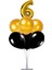7 'li Balon Stand Demeti 6 Yaş Gold Siyah Balon 1