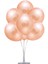 7 'li Balon Stand Demeti Rose Gold Balon 1