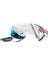 GC6734/20 Fast Care Buhar Kazanlı Ütü 4