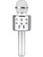 Bluetooth Karaoke Mikrofon 1
