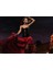 İspanyol Dansçı Kadın Fotoğraf Kanvas Tablo 2