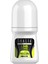 Terlemeye karşı Etkili Lime & Cool Energizing Roll-on Deodorant - 50 ml 1