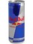 Redbull 250 ml 24'lü Set 2