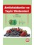 Antioksidanlar ve Tayin Yöntemleri 1