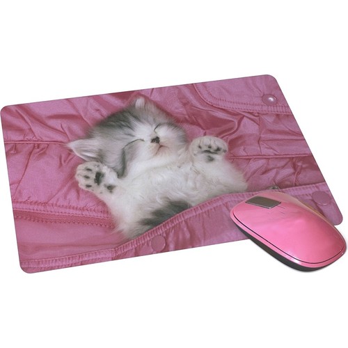 Wuw Uyuyan Güzel Kedi Mouse Pad Fiyatı Taksit Seçenekleri