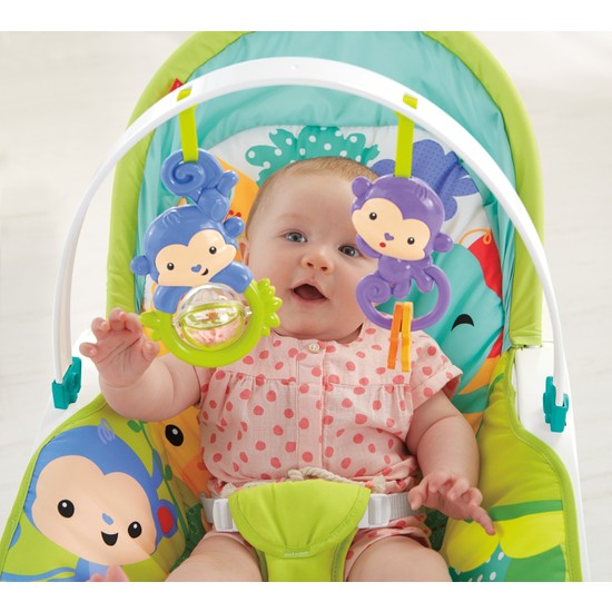 FisherPrice Yağmur Ormanı Portatif Anakucağı ve Sallanan