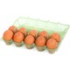 Mikompack 10 'lu Plastik Yeşil Yumurta Viyolü 200 Adet