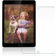 UKS Apple iPad 7. Nesil 10.2 Nano Glass Ekran Koruyucu