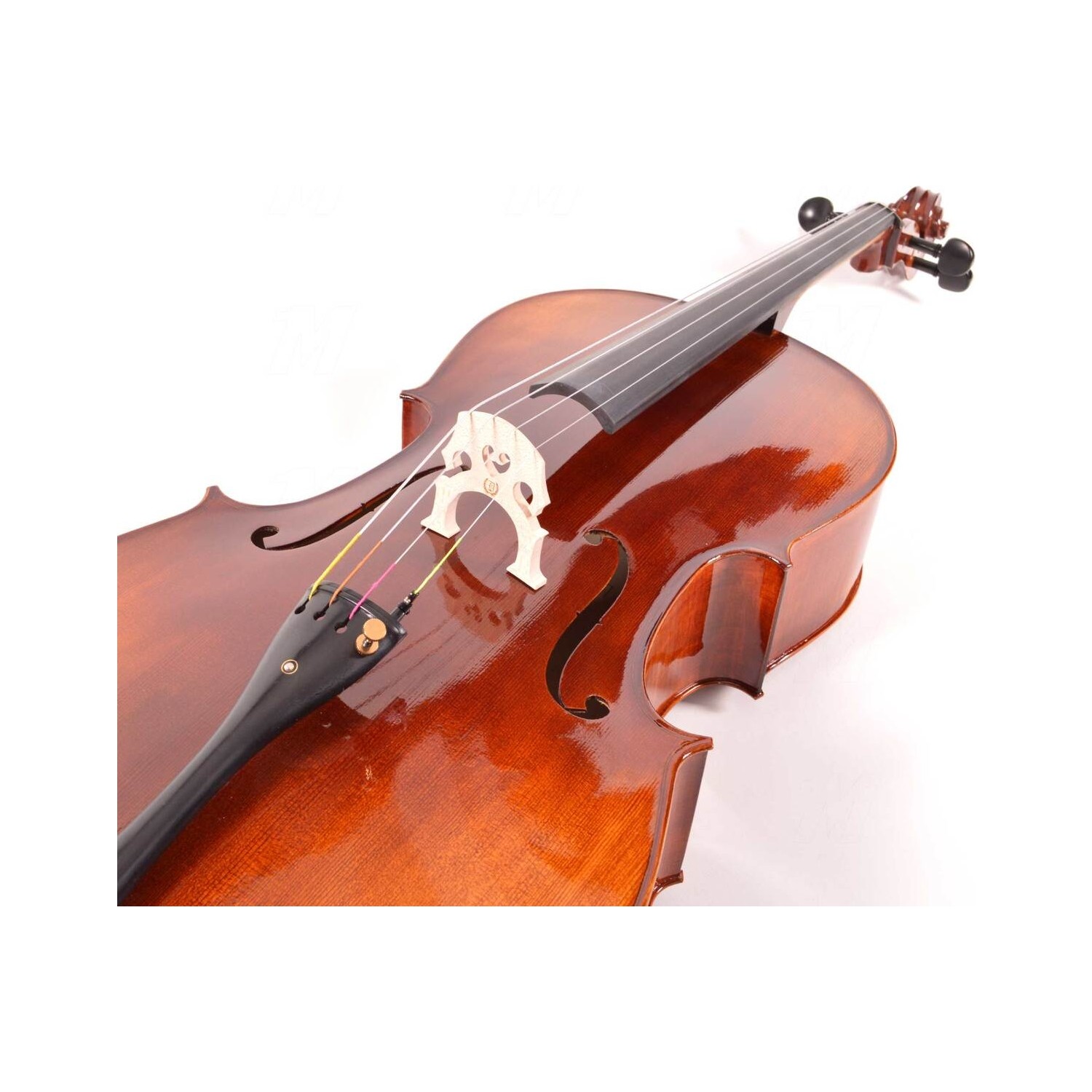 Manuel Raymond Çello (Viyolonsel) Dominguez Profesyonel El Fiyatı