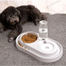 Petsi Essential Kedi-Köpek Mama ve Su Kabı 1000 ml