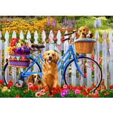 AYB Canvas Sevimli Köpekler ve Bisiklet Sayılarla Boyama Seti Kasnaklı 40 x 50 cm