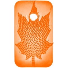 Rulopak Sihirli Koku Yaprağı Mango