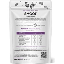 Smool Freeze Dried (Dondurularak Kurutulmuş) Karadut 25 gr Sağlıklı Atıştırmalık