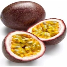 Tropikal Pasiflora (Çarkıfelek) 5 Adet