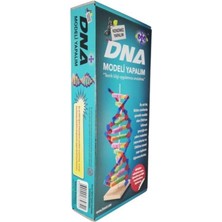 Hobi Eğitim Dünyası Dna Modeli Yapalım Deney Seti