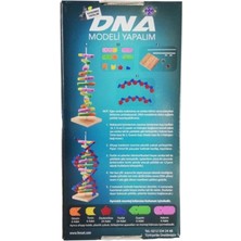 Hobi Eğitim Dünyası Dna Modeli Yapalım Deney Seti