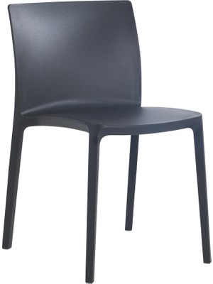 Papatya Evo Sandalye