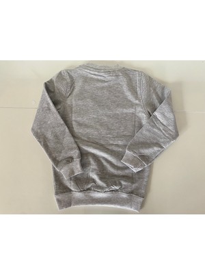 Harika Erkek Çocuk Baskılı 2 Iplik Sweatshirt