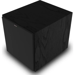R-101SW Subwoofer Siyah