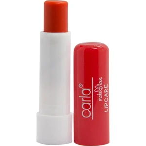 Lipcare Strawberry - Dudak Bakımı Çilek No: 3