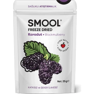 Freeze Dried (Dondurularak Kurutulmuş) Karadut 25 gr Sağlıklı Atıştırmalık